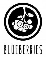 ICON-_-blueberries