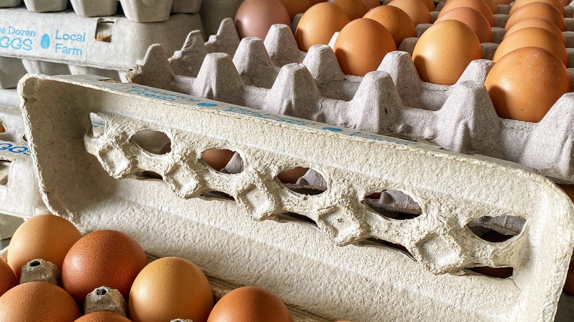 Farm Fresh Eggs