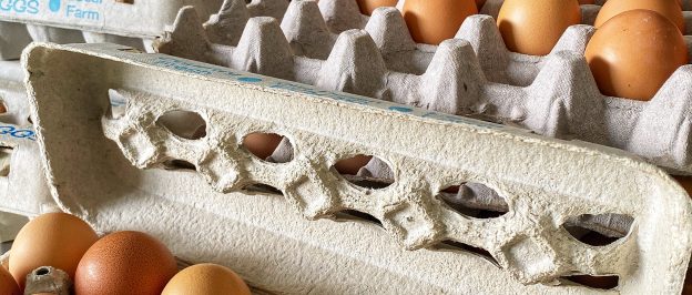 Why Farm Fresh Eggs Just Taste Better